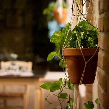 Agricola Casa Cucina Bottega Villa Cesena Bagian luar foto