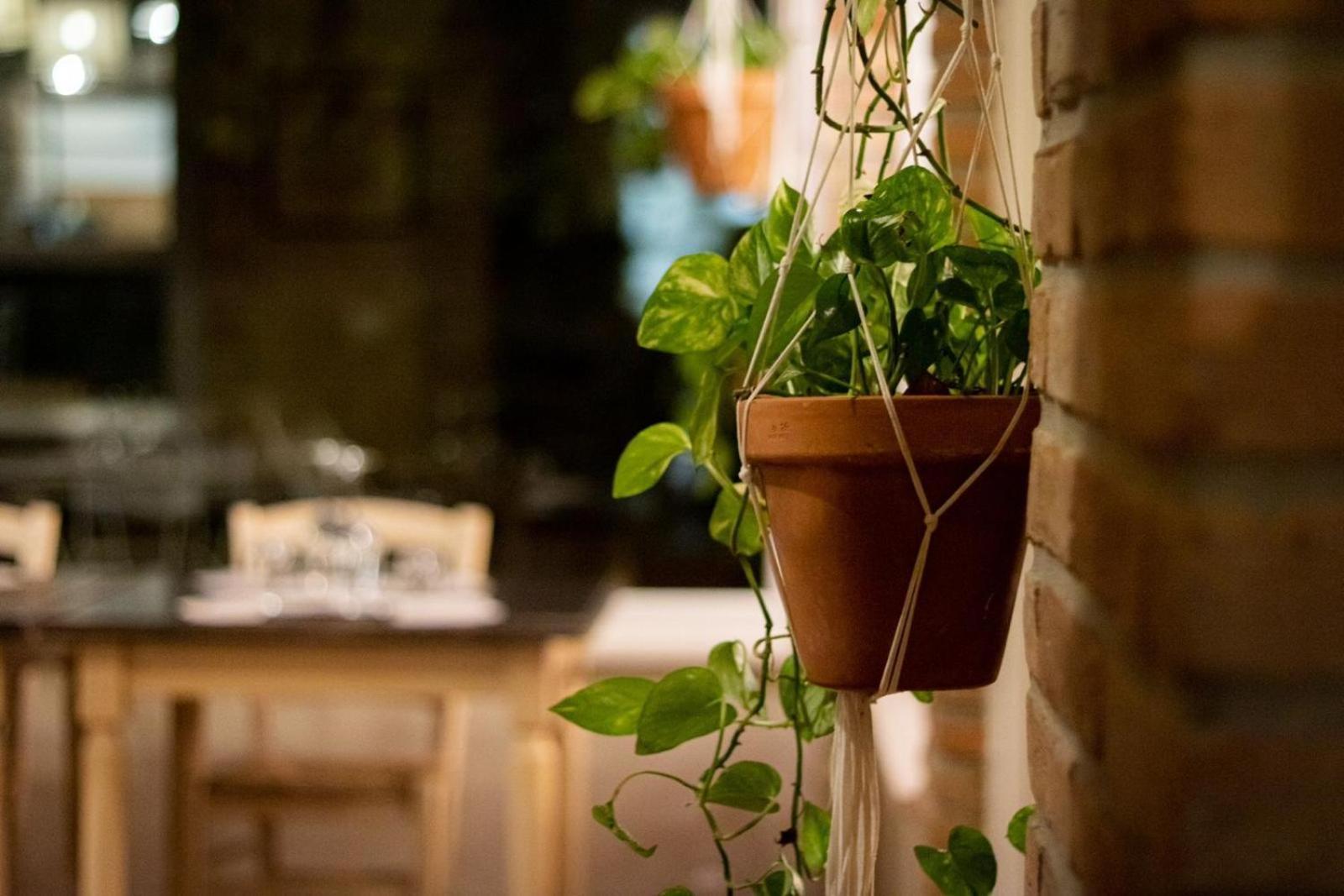 Agricola Casa Cucina Bottega Villa Cesena Bagian luar foto