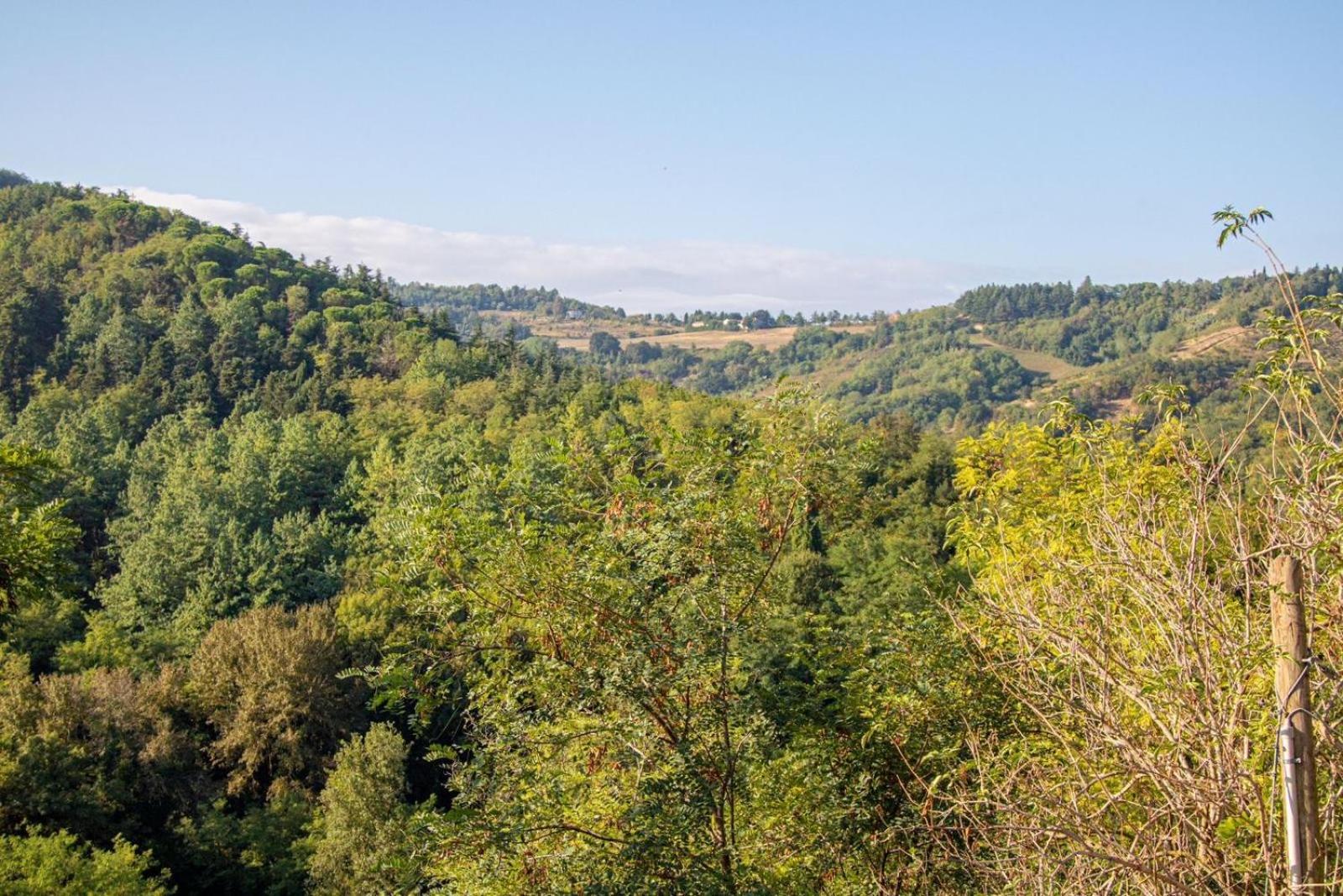 Agricola Casa Cucina Bottega Villa Cesena Bagian luar foto