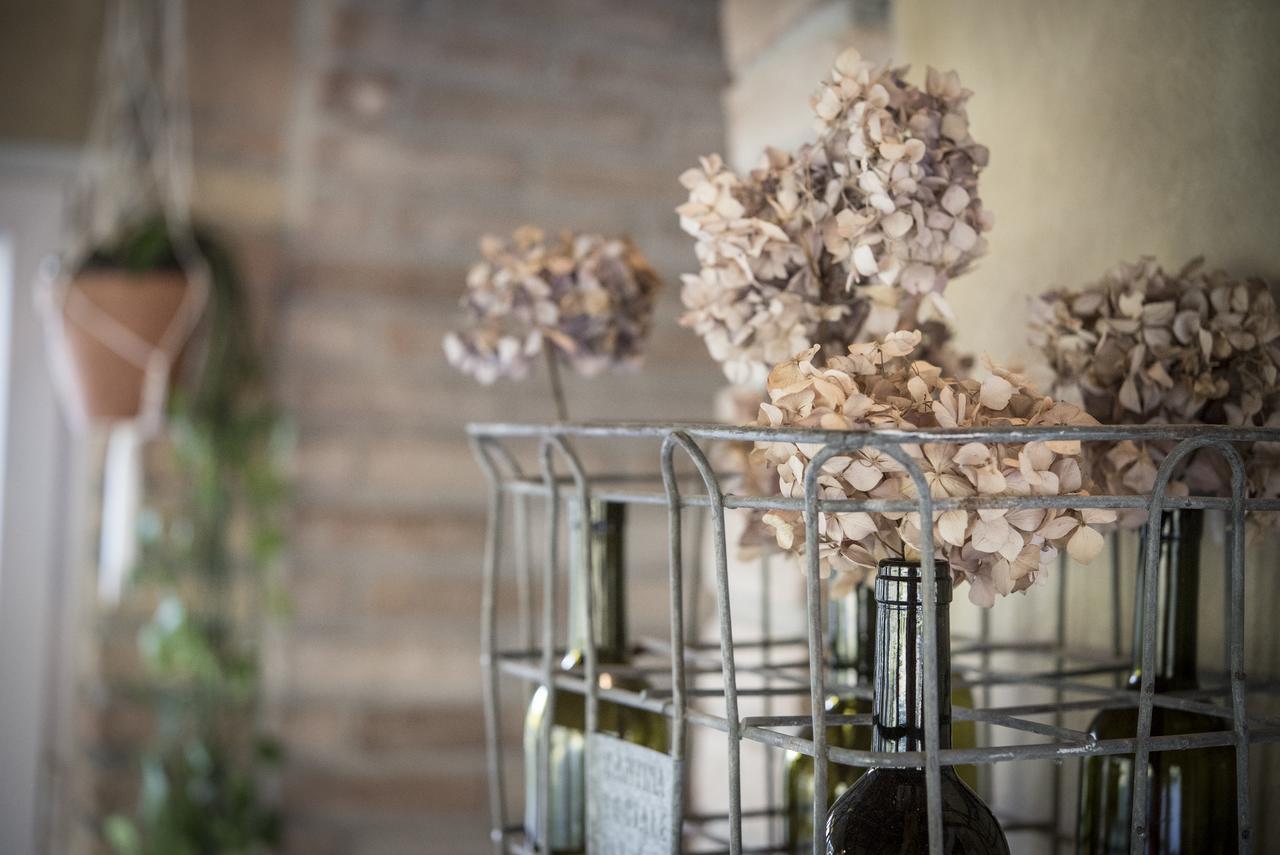 Agricola Casa Cucina Bottega Villa Cesena Bagian luar foto
